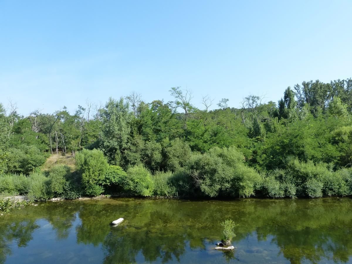 Logis Hotel Restaurant Les Cedres Joyeuse Dış mekan fotoğraf